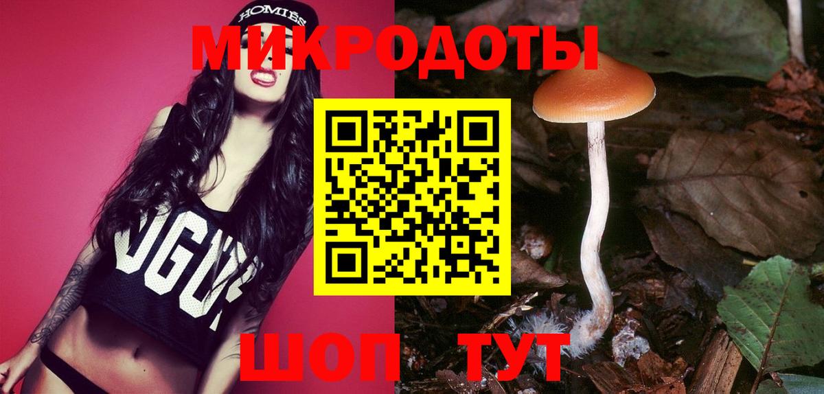 Псилоцибиновые грибы Psilocybe  Вход с VPN  Владикавказ 